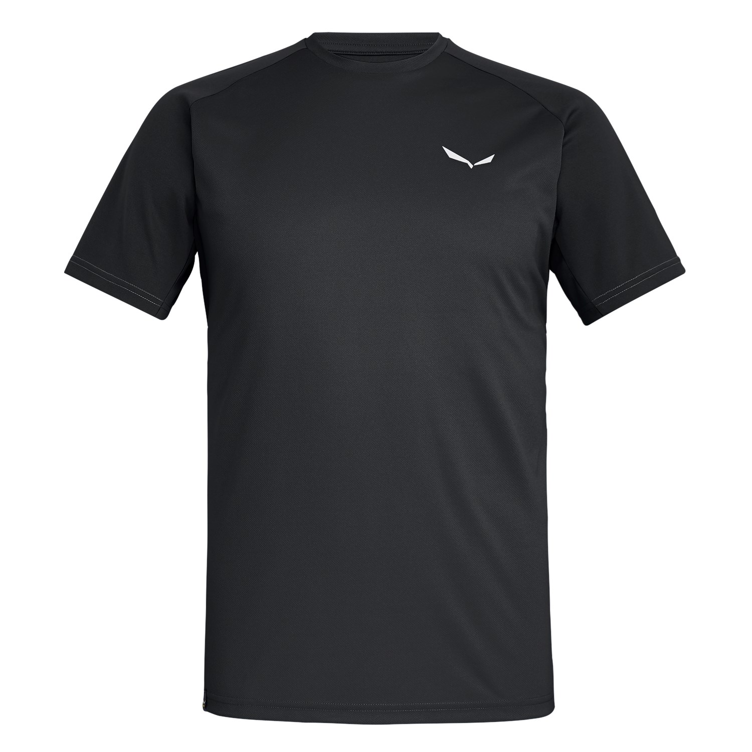 Salewa Sporty B 3 Dry Erkek T-Shirts Siyah Türkiye 631702UVY